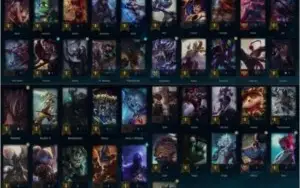 CONTA PLAT 1 MMR D3 46 CHAMPS 14 SKINS