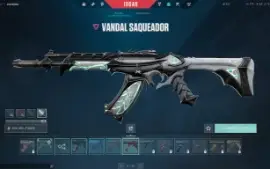 Conta De Valorant, Top, Full Acesso. 37 Skins! Bronze 3