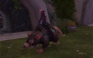 Montaria Wow - Rataranhão / Ratstallion