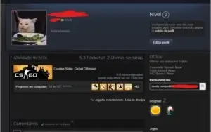 Consta Steam - CSGO Com Prime