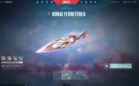 Conta valorant com karambit saqueador e kunai floreterea etc