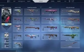 Conta de Valorant D2 +1k gasto em skins