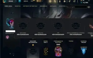 Unranked com 85 Champs e 55 Skins ( TOP / JG )