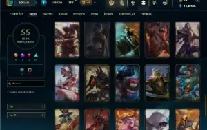 Unranked com 85 Champs e 55 Skins ( TOP / JG )
