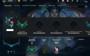 Esmeralda 4 com TODOS os champs e 402 Skins + 221 Cromas