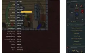 10 Voucher + Paladin 48 com 78 de Distance + Equipamentos