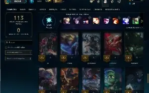 Ferro 1 com 60 Champs e 10 Skins
