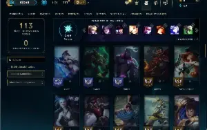 Ferro 1 com 60 Champs e 10 Skins