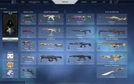 CONTA VALORANT/LOL COM MAIS DE 11 MIL GASTOS