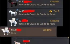 Conta de Black Desert Z - GAMEZ NA (BDZ NA) - SEM/ EMAIL