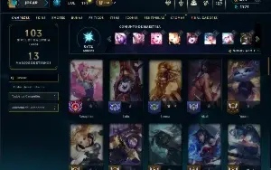 Unranked com 65 Champs e 53 Skins ( MONO SUP )