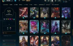 Unranked com 65 Champs e 53 Skins ( MONO SUP )