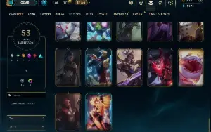 Unranked com 65 Champs e 53 Skins ( MONO SUP )