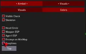 Valorant Hack Private | Cybertins 👾 - Mensal