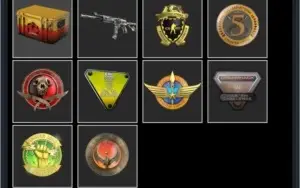 CSGO PRIME: STEAM 10 ANOS / MEDALHAS EXTREMAMENTE RARAS