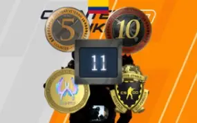 Conta Steam Medalha 10 E 5 Ano, Lealdade, Moeda Csgo.