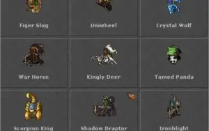 MASTER SORCERER 400+ (OPEN PVP BR) 25% LOYALTY