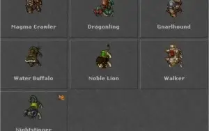 MASTER SORCERER 400+ (OPEN PVP BR) 25% LOYALTY
