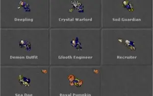 MASTER SORCERER 400+ (OPEN PVP BR) 25% LOYALTY