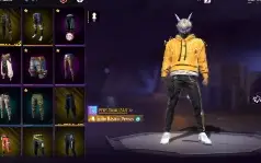 Conta Muito top de FF, Skin Puma, Muitos passe booyah