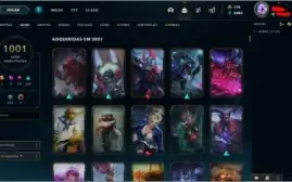 conta ótima com 1001 skins e todos os champs habilitados