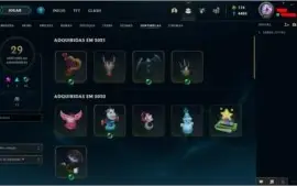 conta ótima com 1001 skins e todos os champs habilitados