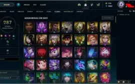 conta ótima com 1001 skins e todos os champs habilitados