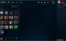 conta ótima com 1001 skins e todos os champs habilitados