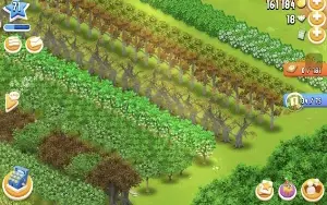 Conta Hay Day Lvl 71