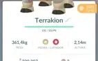 Pokemons a venda