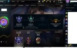 Conta D2 Solo/duo 492 skins - gastos 4571 reais