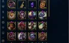 Conta D2 Solo/duo 492 skins - gastos 4571 reais