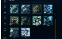 Conta D2 Solo/duo 492 skins - gastos 4571 reais