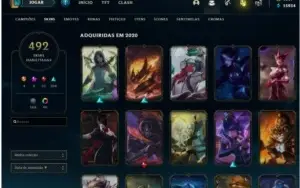 Conta D2 Solo/duo 492 skins - gastos 4571 reais