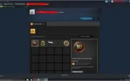 CONTA STEAM (CSGO)