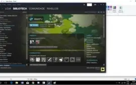 Conta Wakfu Osamodas lvl 155 com Steam