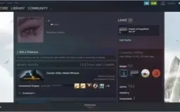 CS:GO PRIME | 2 MEDALHAS | AGUIA 1 | 742 JOGOS | LV 20 STEAM