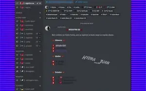 Servidores de discord organizado e profissional!