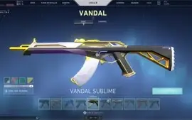 CONTA VALORANT MUITAS SKINS