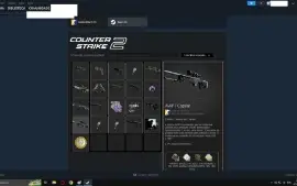 Conta Prime Cs2: 2500 Horas, Skins, 13K, Jogos, Quase 3 Anos