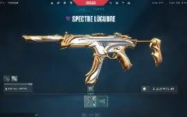 Conta Valorant Full Acesso Skins De Vandal E Phantom - Lol