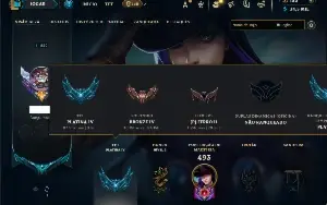 Bronze 4 com TODOS os champs e 249 Skins ( ADC / SUP / JG )
