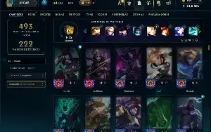 Bronze 4 com TODOS os champs e 249 Skins ( ADC / SUP / JG )