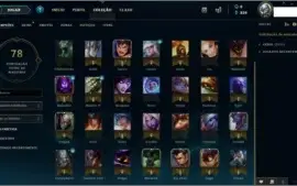 35 Campeões + 6 skins + algumas coisas