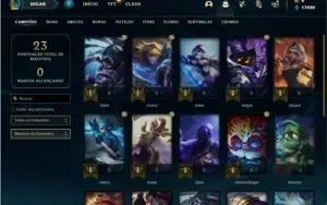 Conta Mestre com 24 Champs e 17 Fragmentos de skins