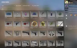 Steam CS+CS2 + Rust + Fc5 + Cod 2 + Gta V + Pubg + Outros