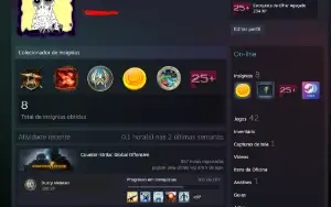Steam CS+CS2 + Rust + Fc5 + Cod 2 + Gta V + Pubg + Outros