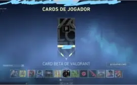 VENDO MINHA CONTA BETA DO VALORANT!