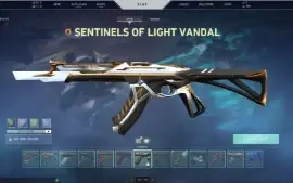 Conta Valorant Cheia De Itens Exclusivos