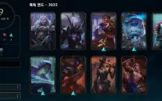 Platina Iv Solo Duo E Flex Com Wr Bizarro